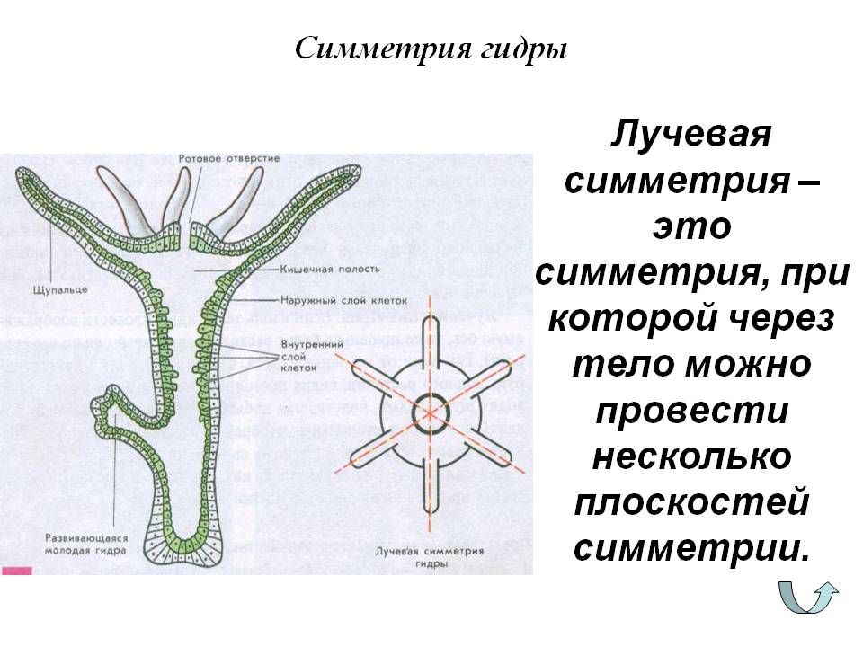 Кракен онлайн