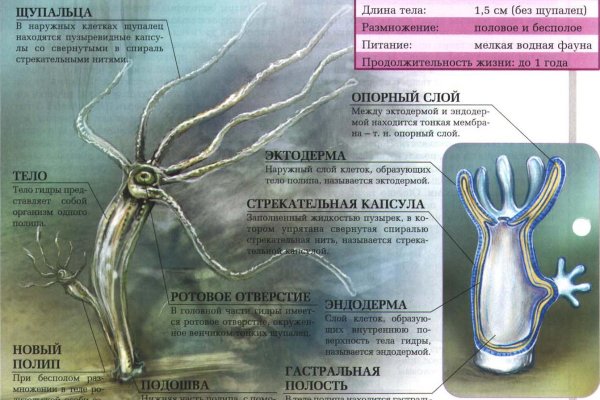 Kraken рабочая ссылка onion