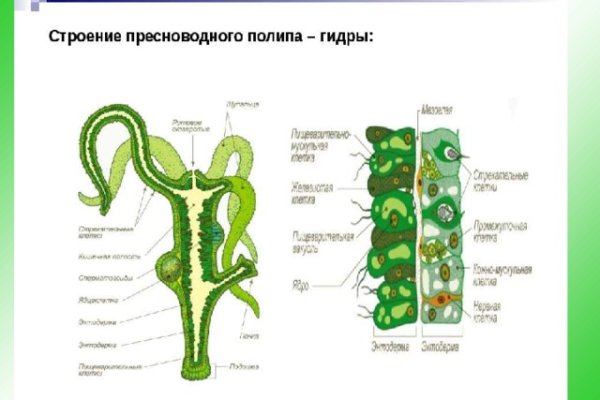 Kraken ссылка актуальная москва