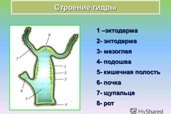 Кракен зеркало орион